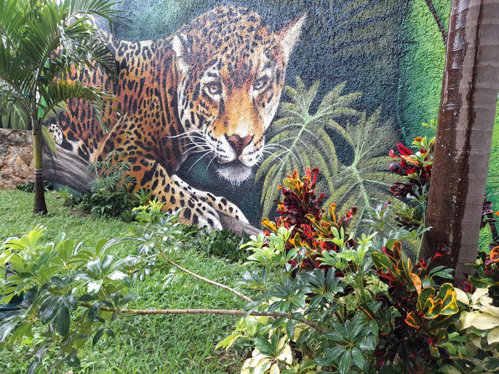 grafiti