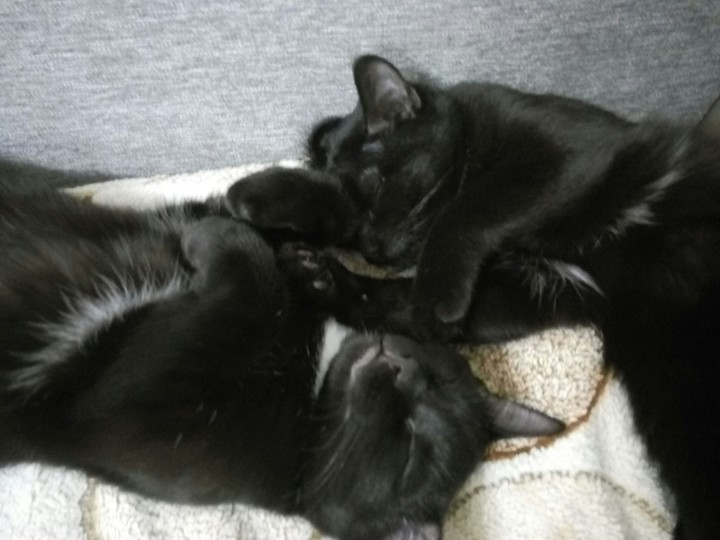 Alice & Lucy