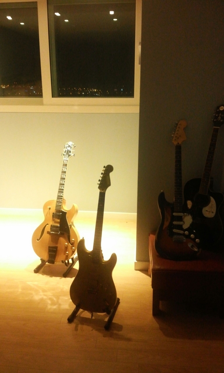 Guitar