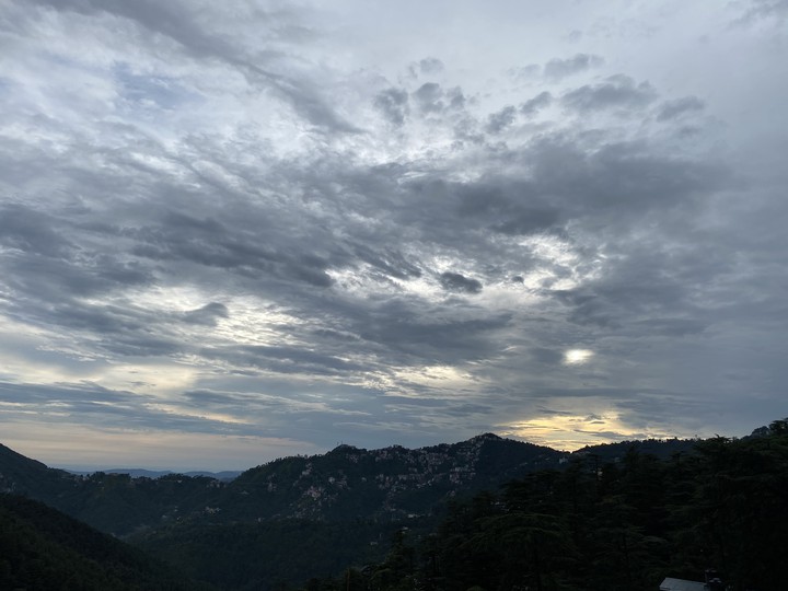 Shimla Dairy