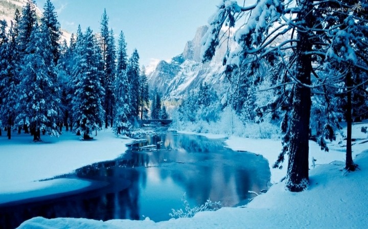 Winter ❄