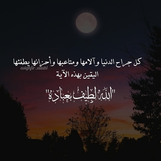 #رحيق_الورد