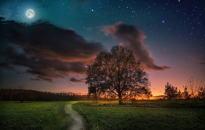 starry sky