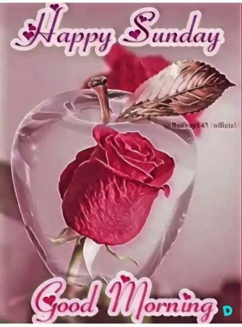 happy sunday