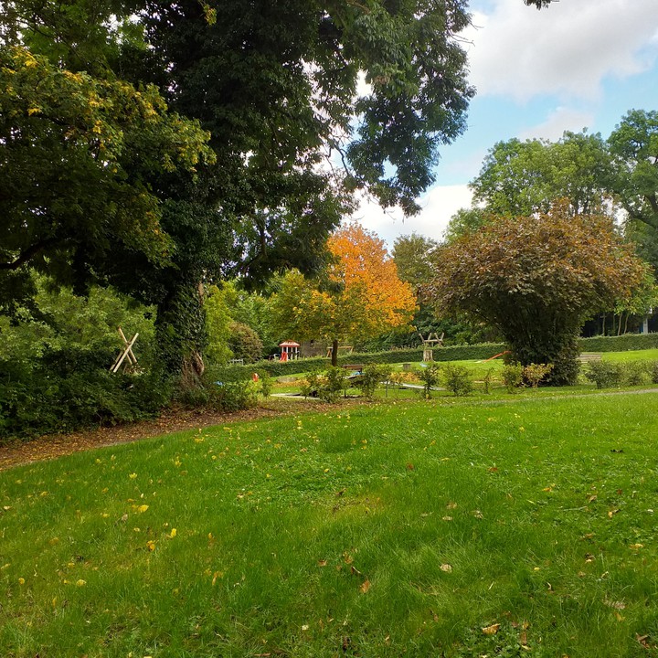 Wiese