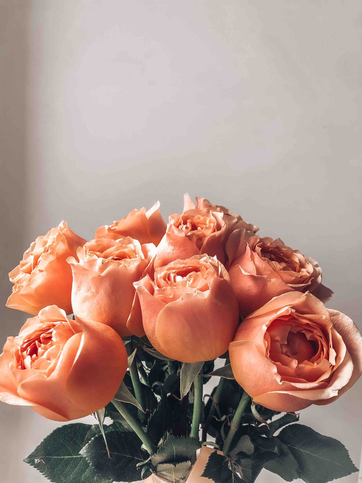 delicate roses