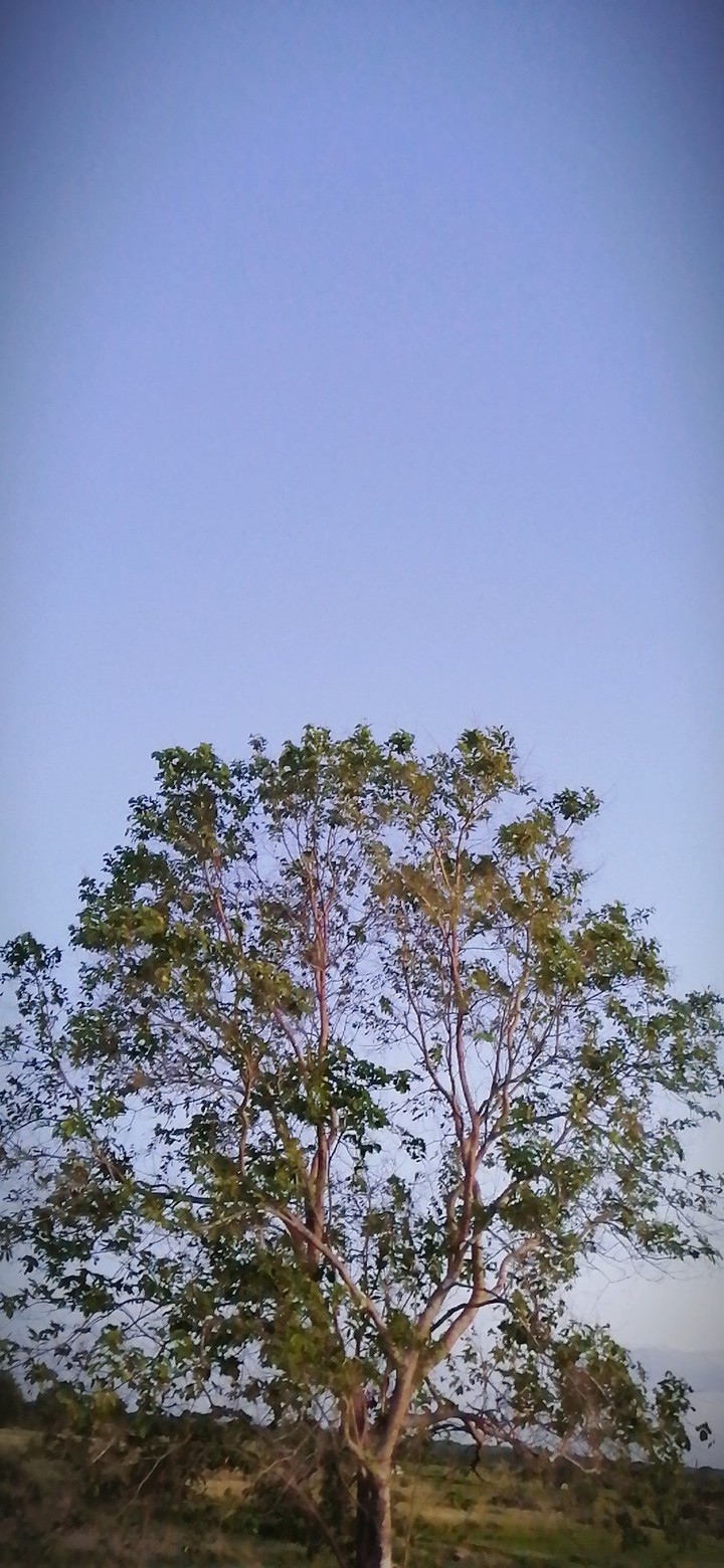beautiful