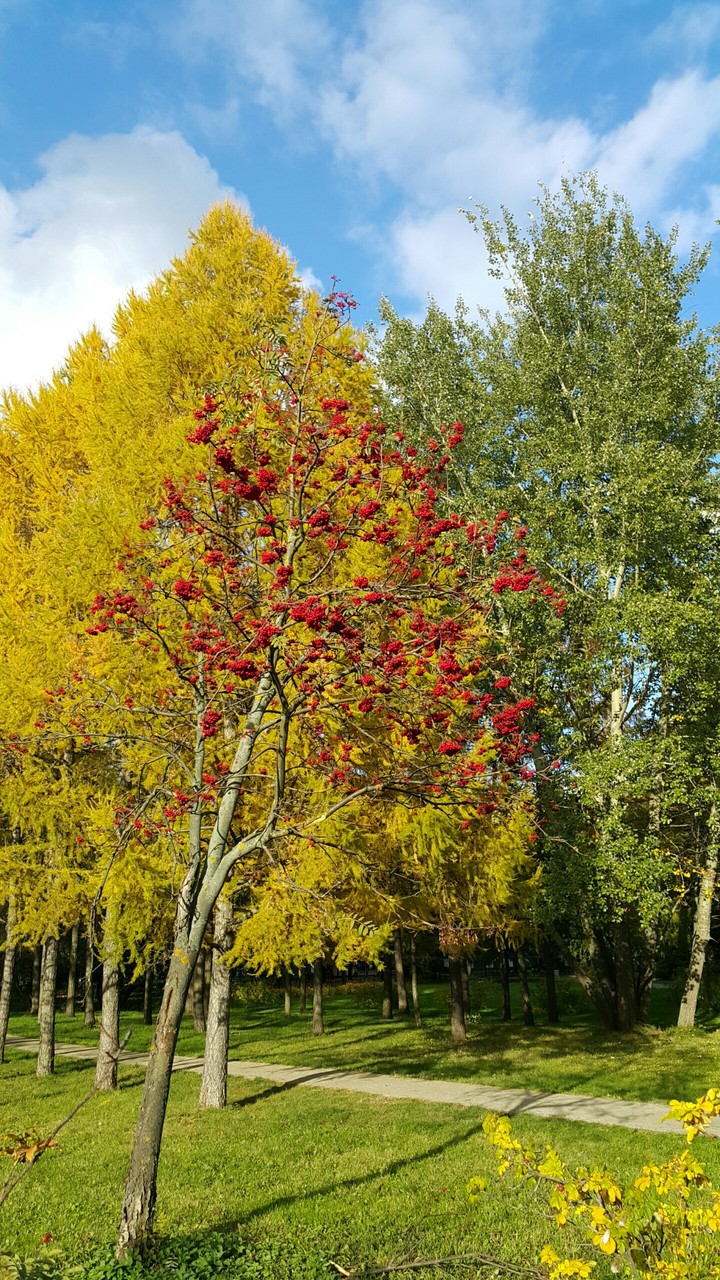 Осень. Солнечный денек