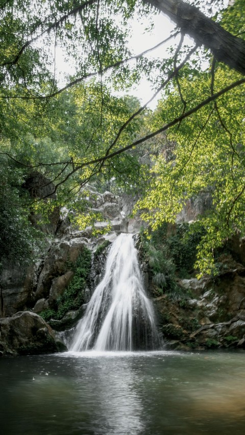 ταπετσαρίες vegetation, watercourse