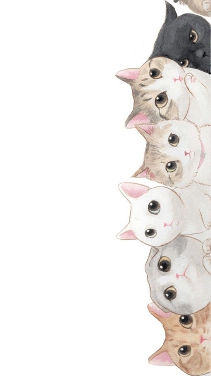 Cats