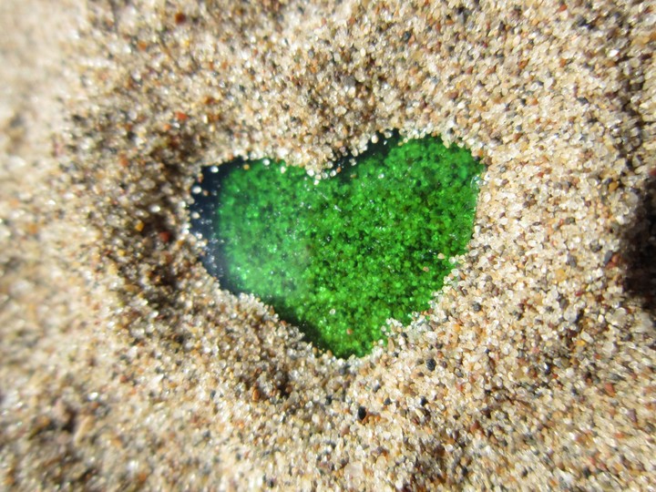 heart
