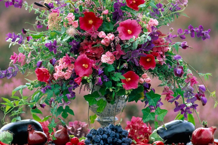 flowers