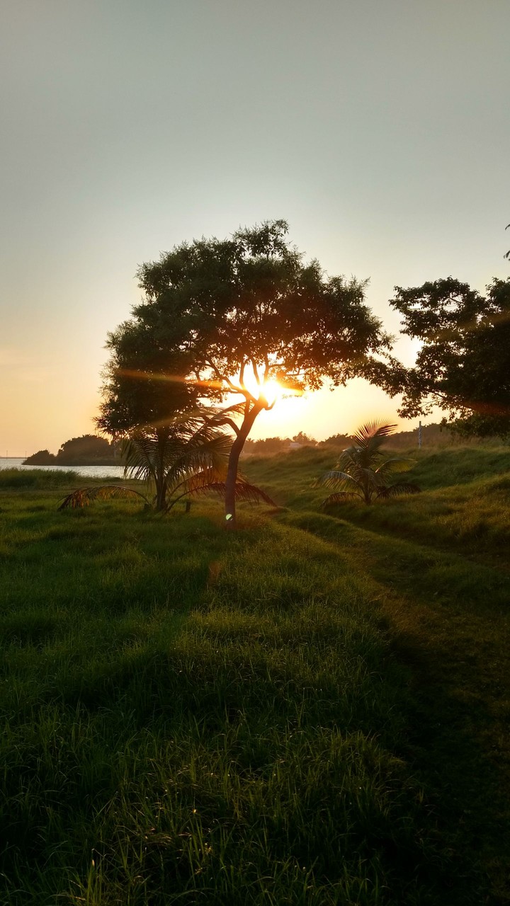 atardecer