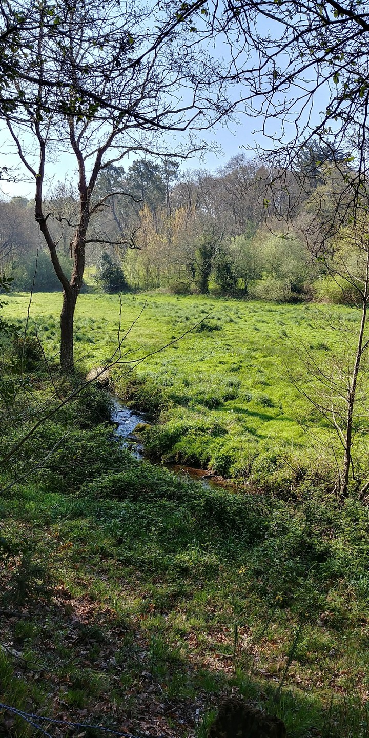 France, vallée des moulins.