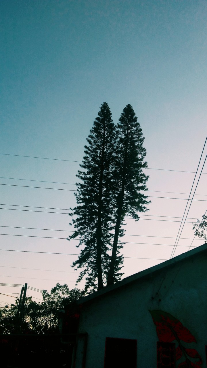 Casa Ecoativa