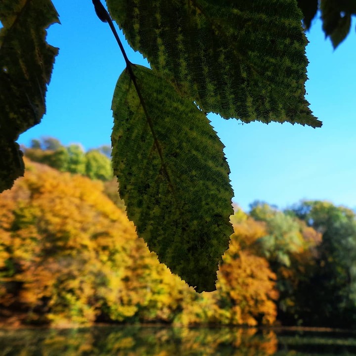 Autumn