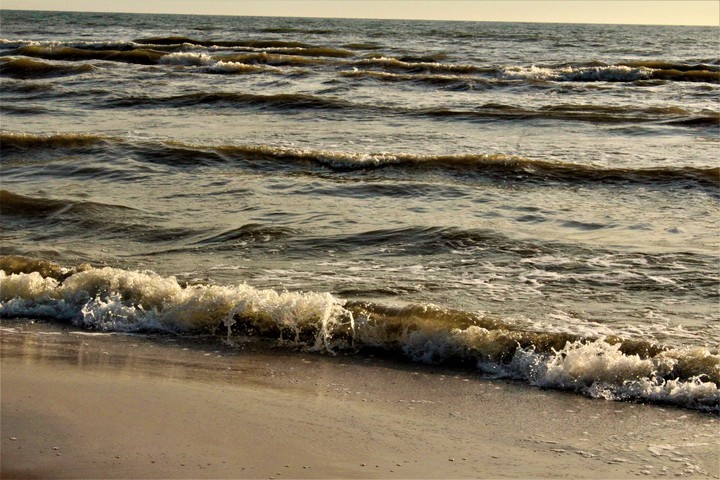 Waves