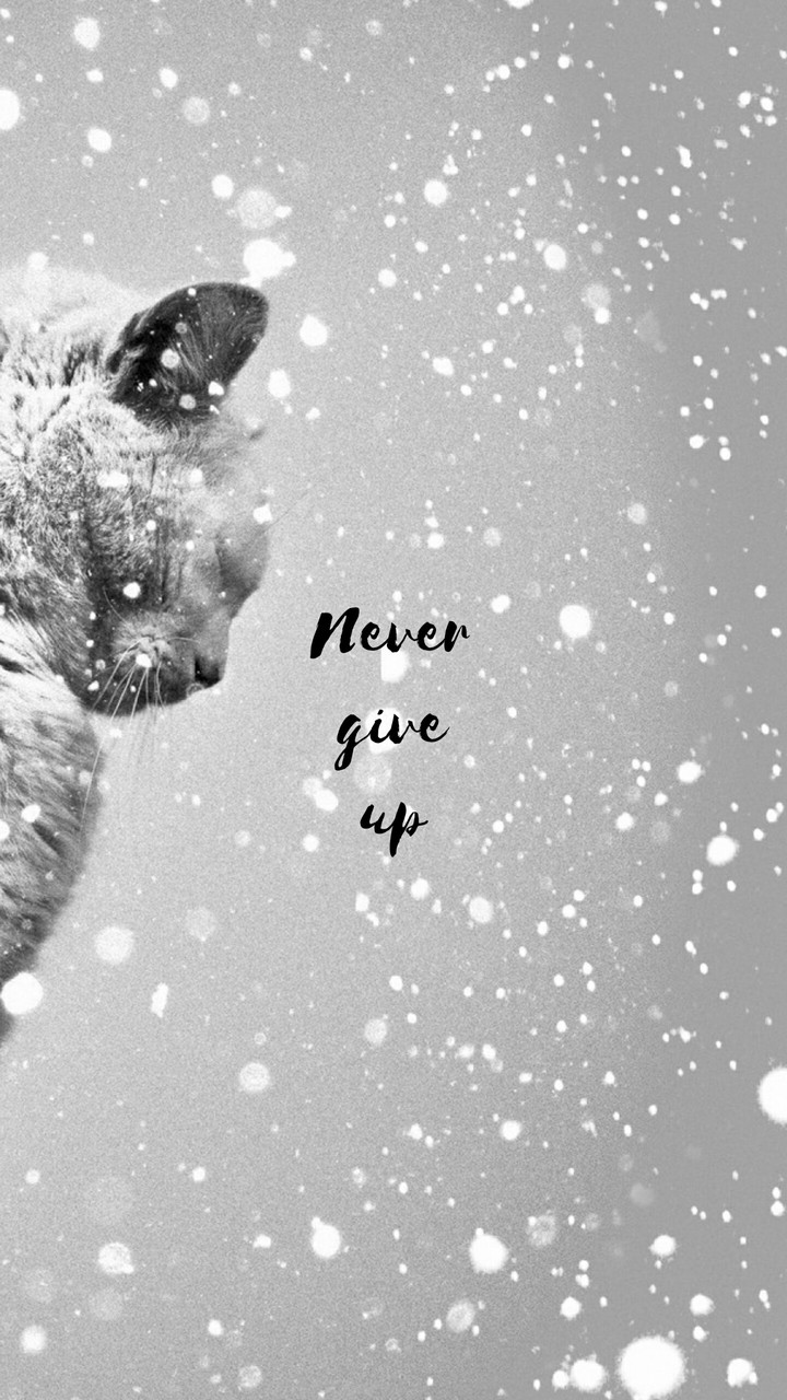 Quotes