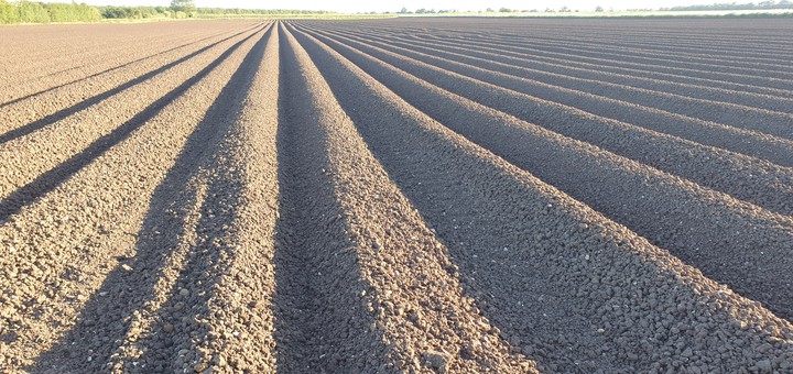 Plough lines