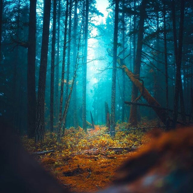 NATURE