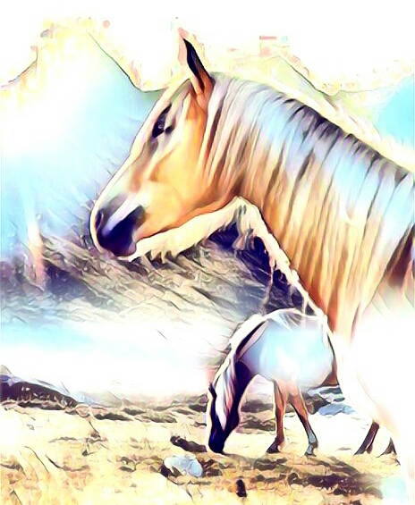 Dream Horse 2
