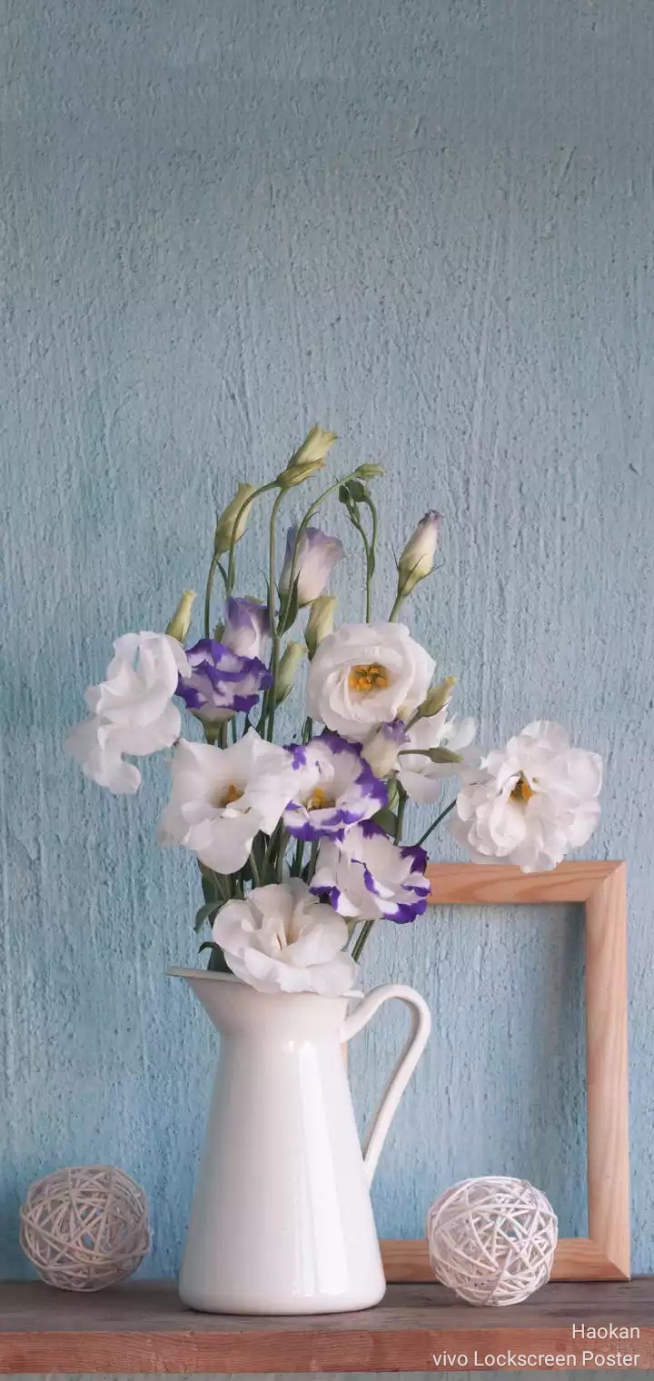 beautiful ?