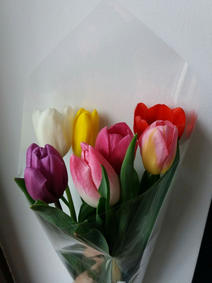 Tulips.