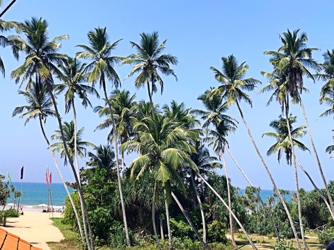 Sri Lanka