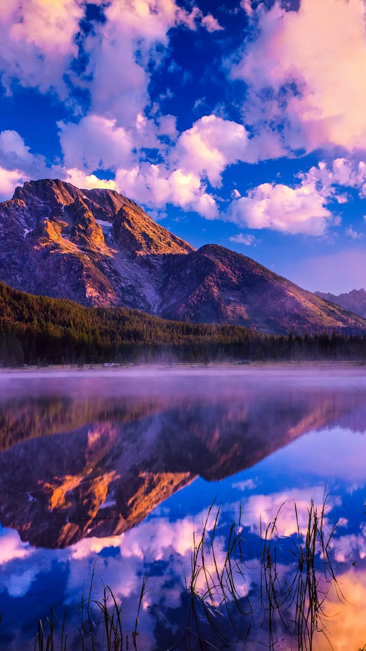 Reflection