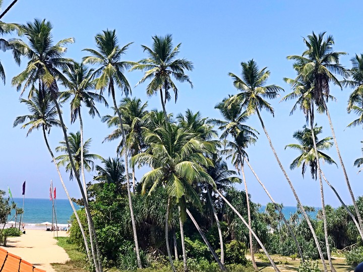 Sri Lanka