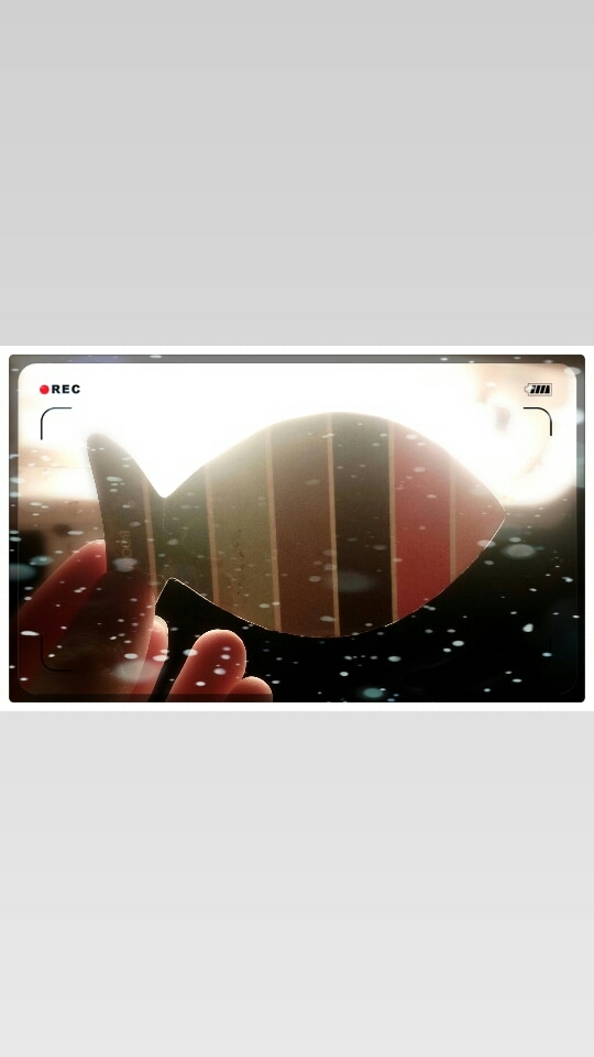 fish