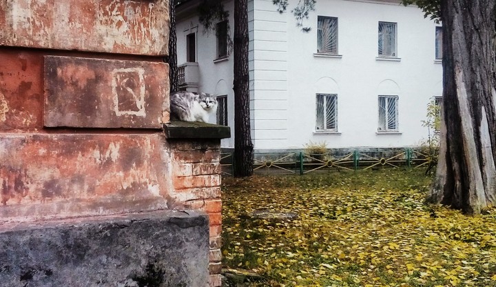 Геометрія