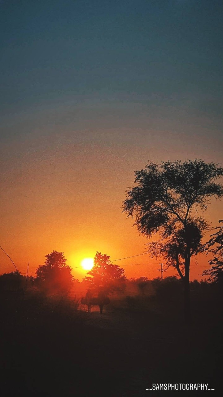 sunset