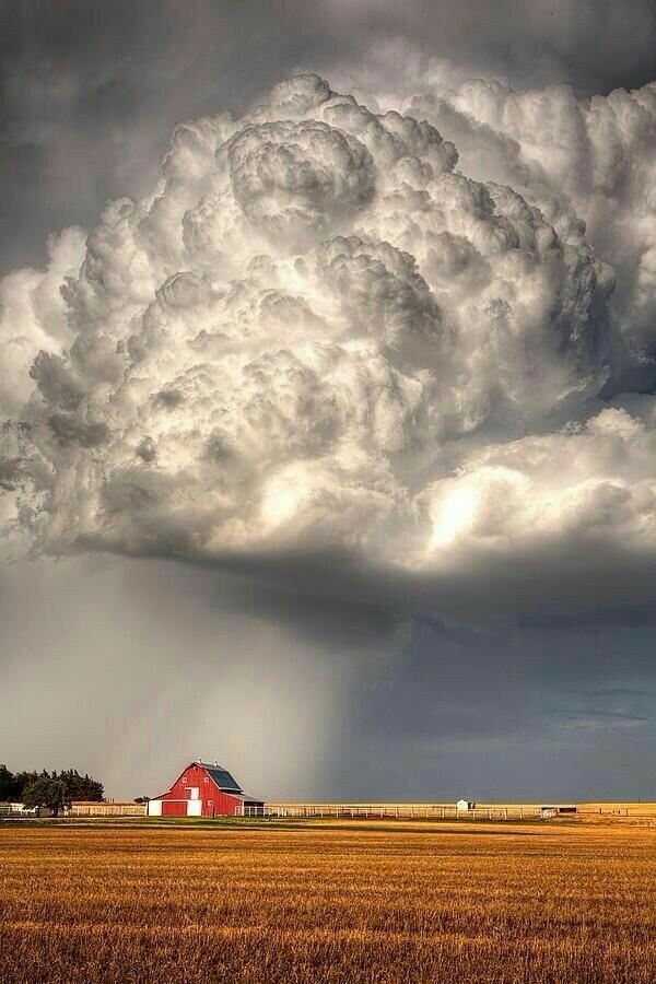 nature
