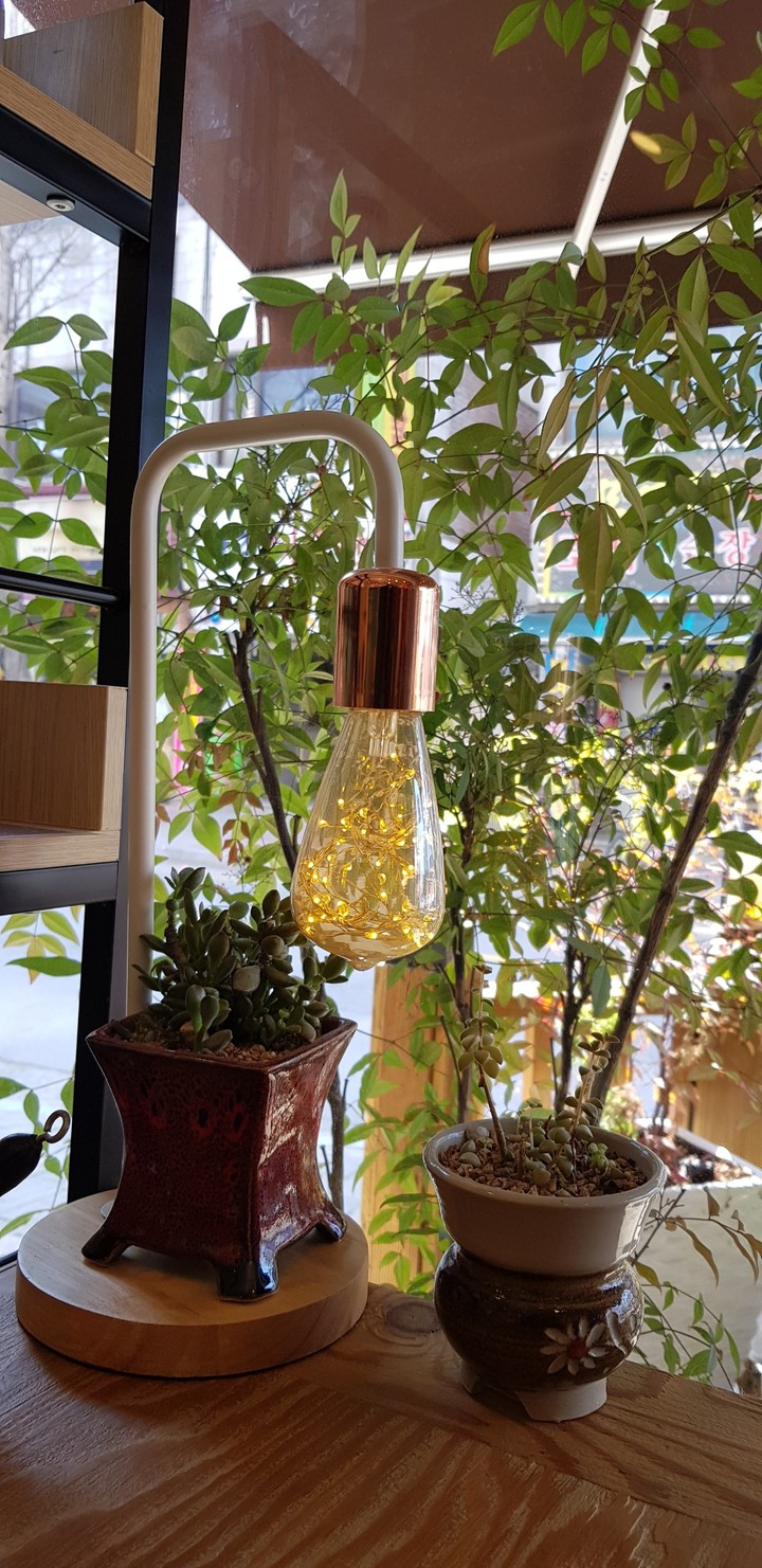 조명