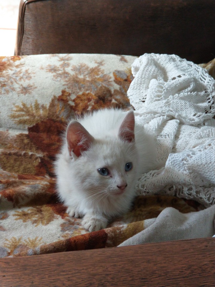 Luna