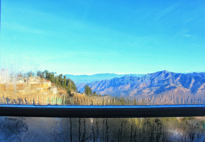Window