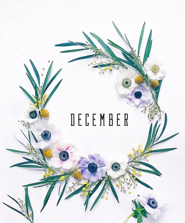 Hello December