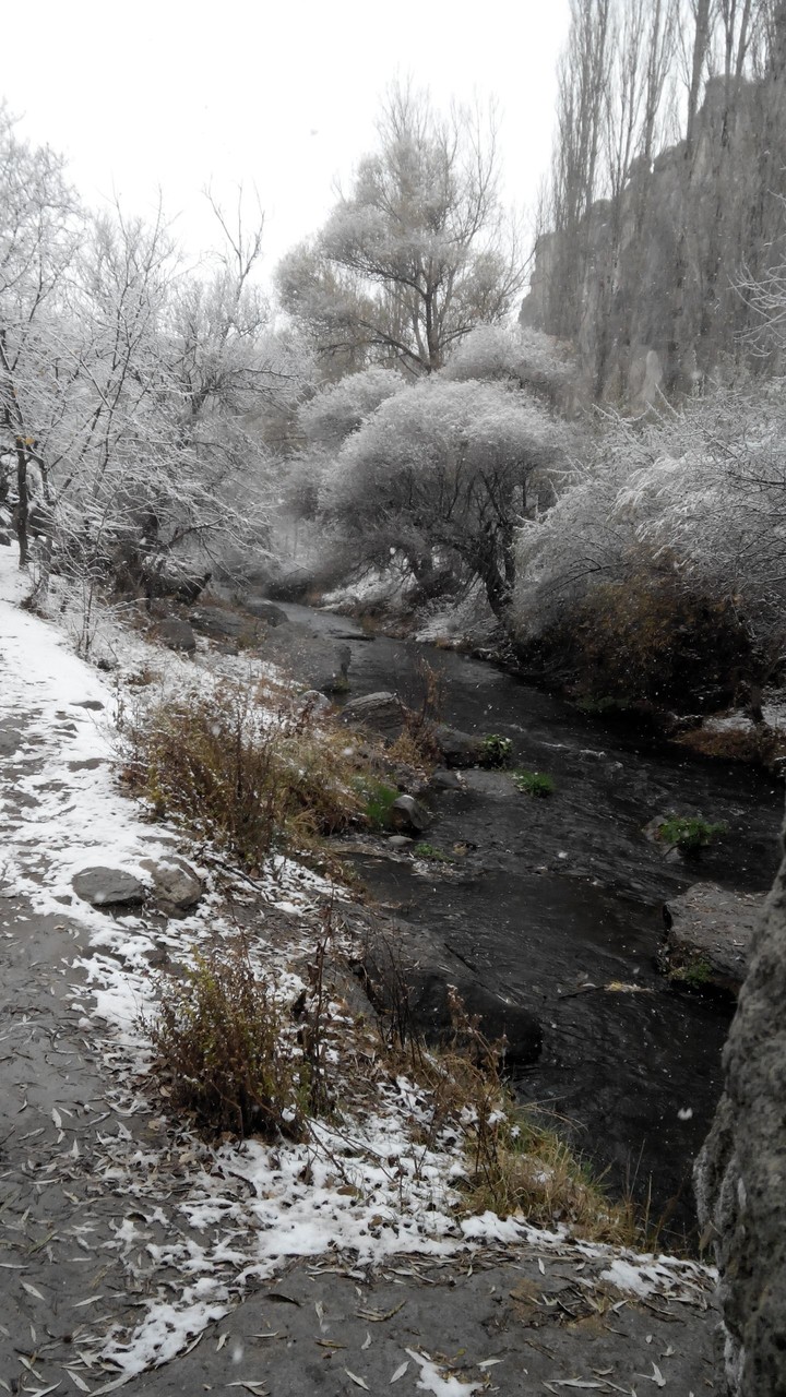 First Day Snow and Surviving