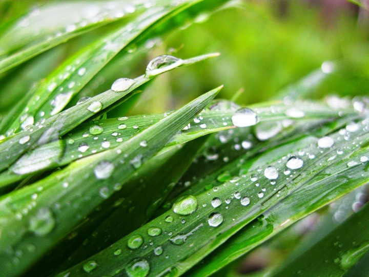 after the rain