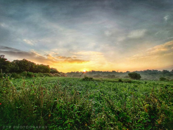 Sunrise at Narayanagiri.
