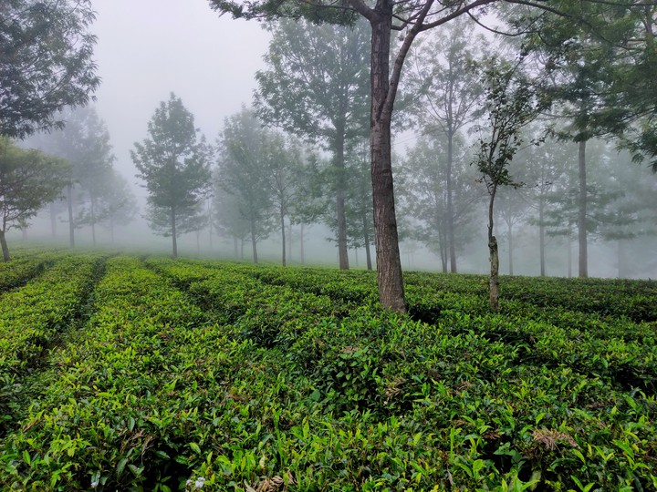 Misty mountains