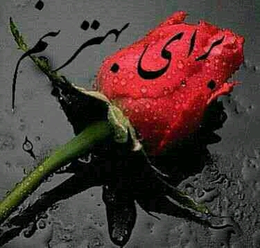 اللہ حافظ