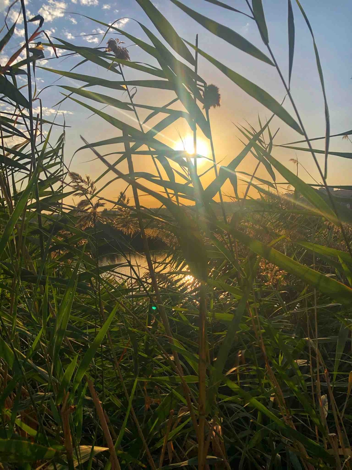 Lake