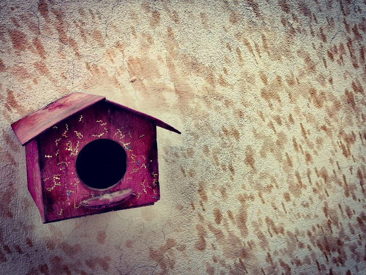 Shelter