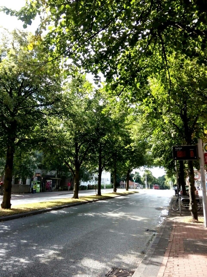 tree