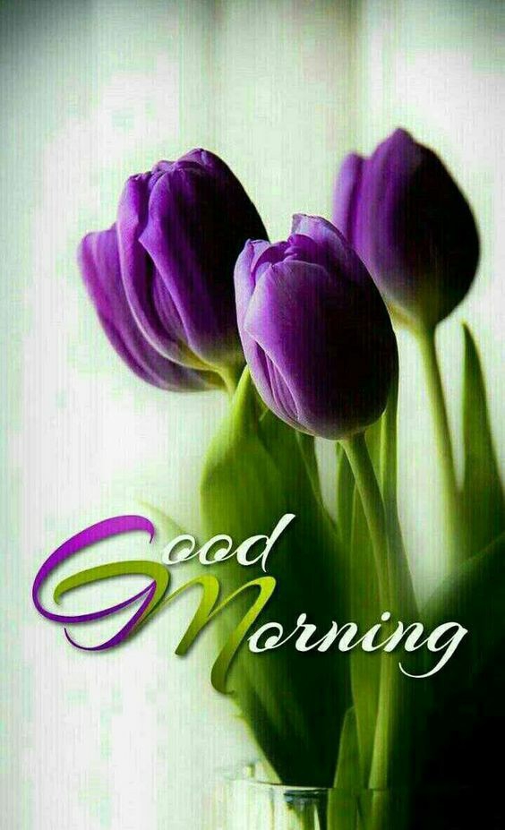 Good morning ogq .