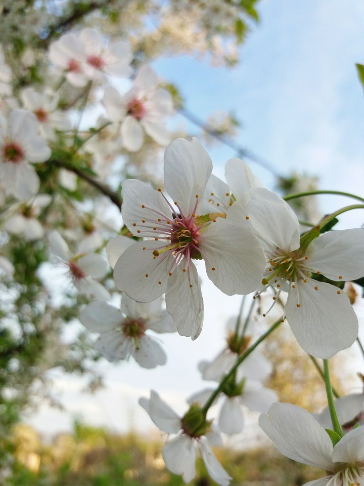 ?