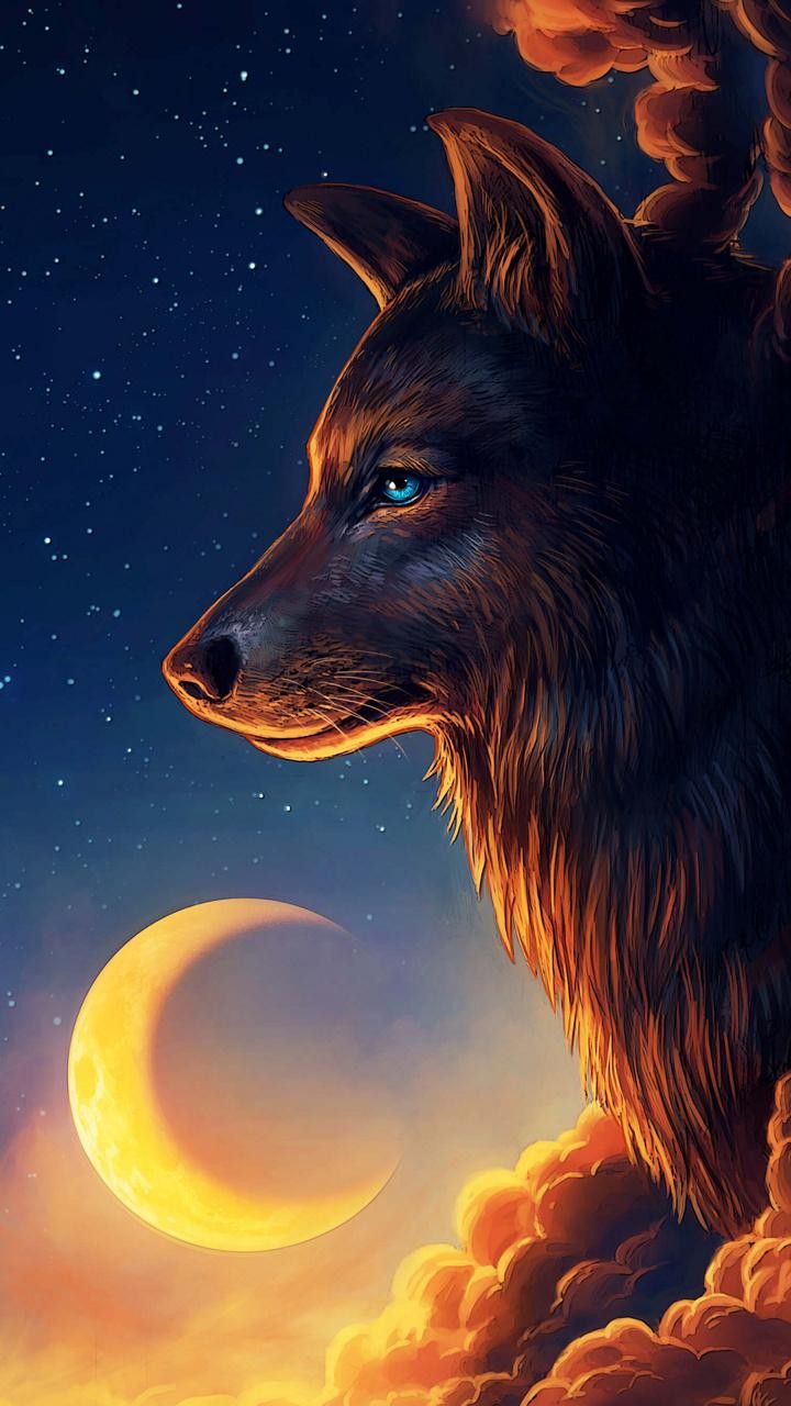 wolf