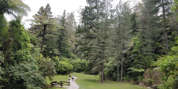 picnic area